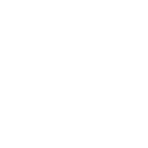ticket